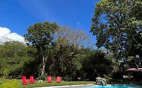 La Casa De Los Patos